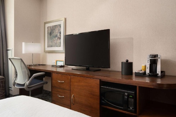 Hilton Garden Inn Long Island City New York image 17