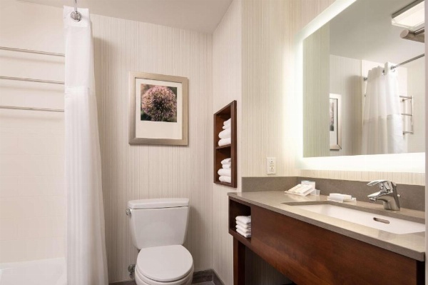 Hilton Garden Inn Long Island City New York image 19