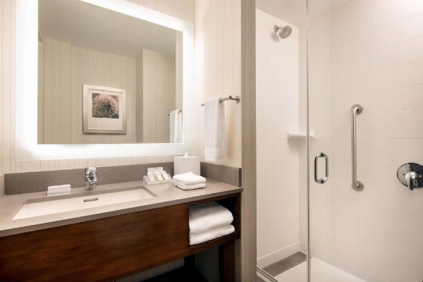 Hilton Garden Inn Long Island City New York image 22
